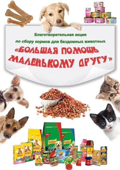 Осенняя неделя добра - Большая помощь маленькому другу.